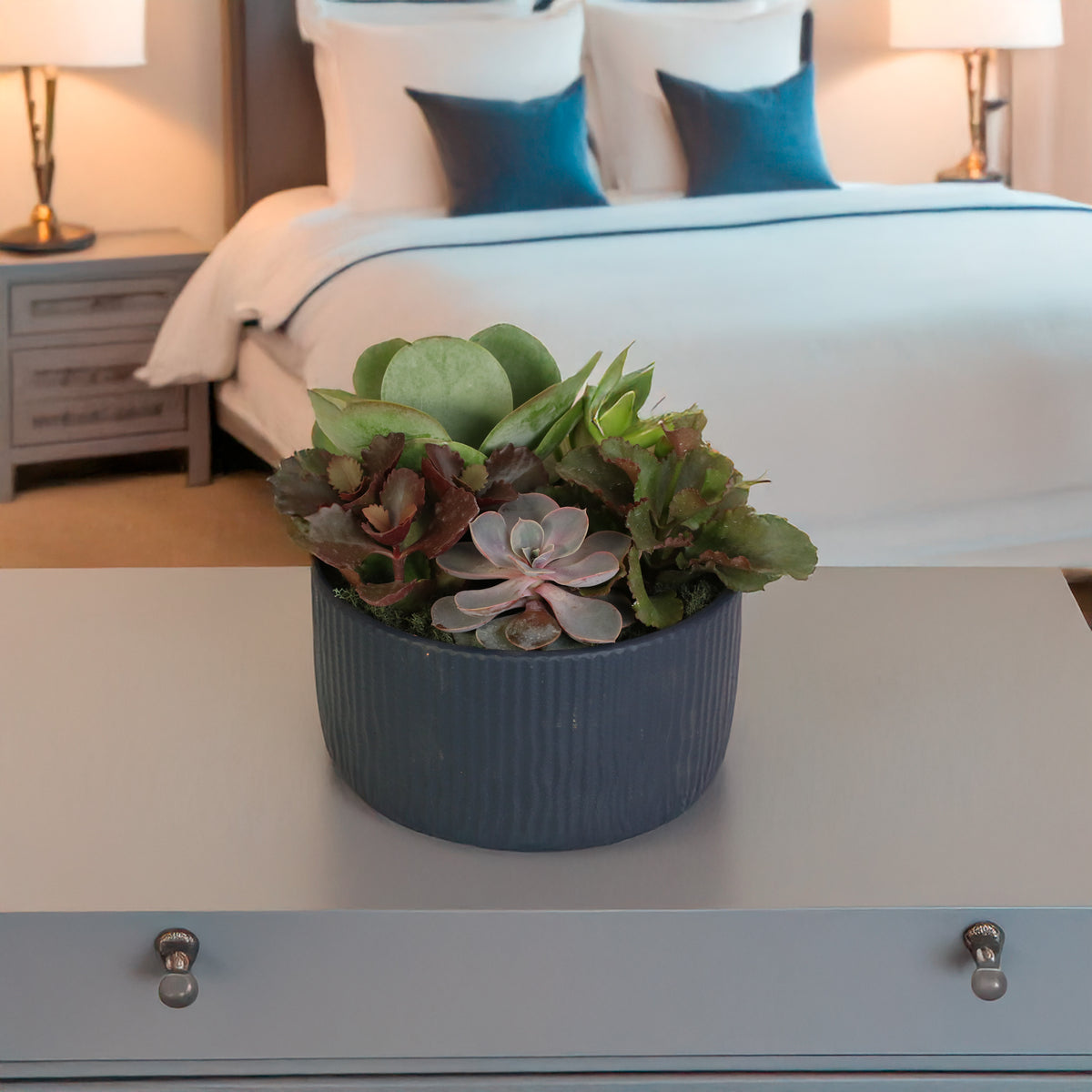 Succulent Arrangement in master bedroom