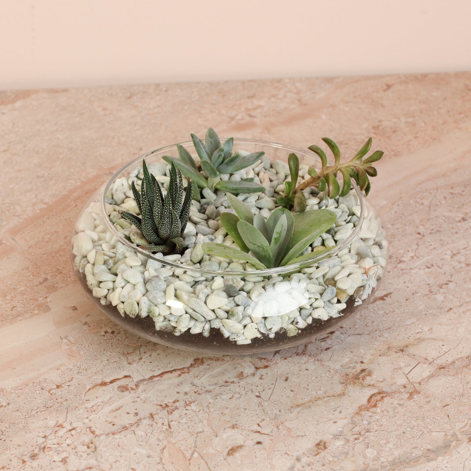 Succulent Terrarium