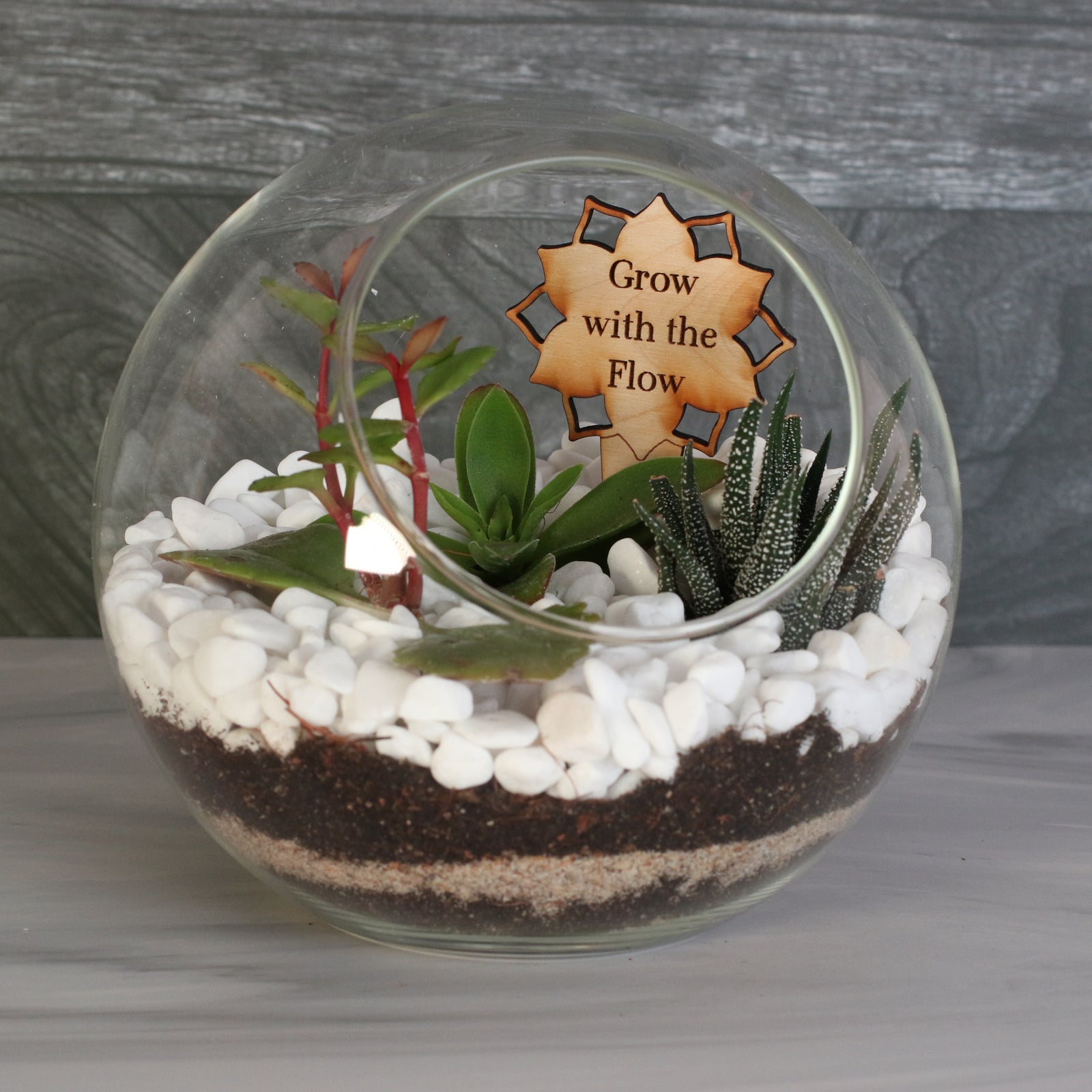 Succulent Terrarium Kit