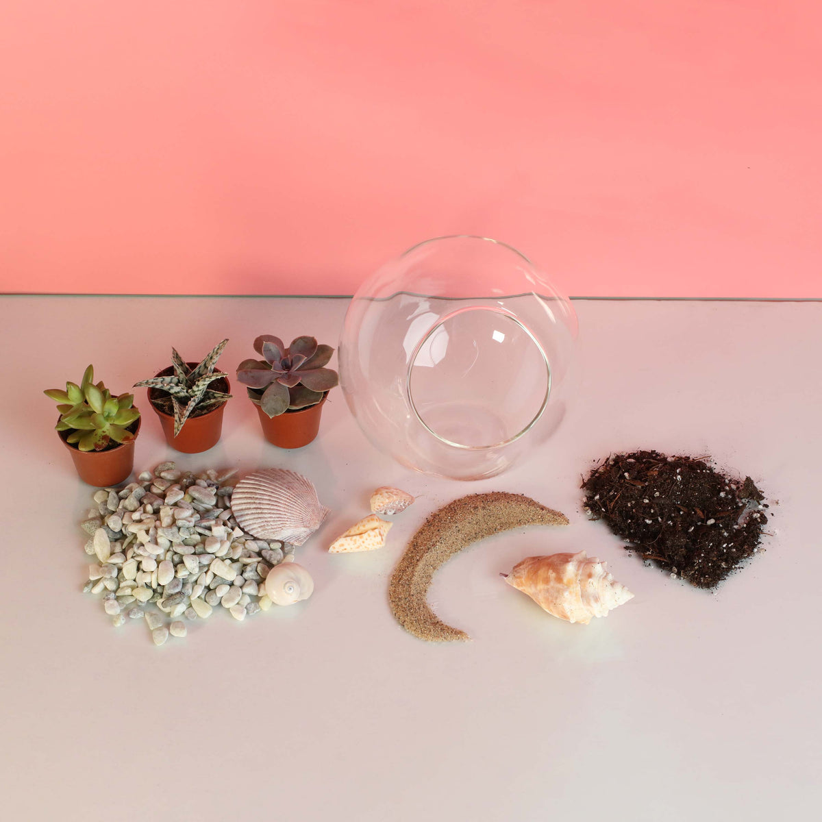 Terrarium Workshop - Thursday, TBD, 2026 at 6:00 pm