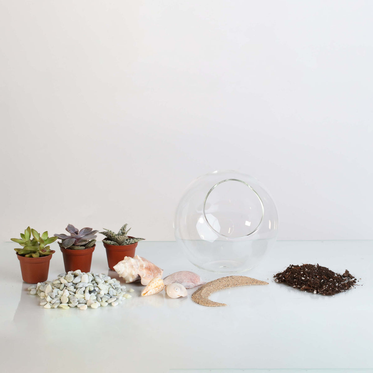 Terrarium Workshop - Thursday, TBD, 2026 at 6:00 pm