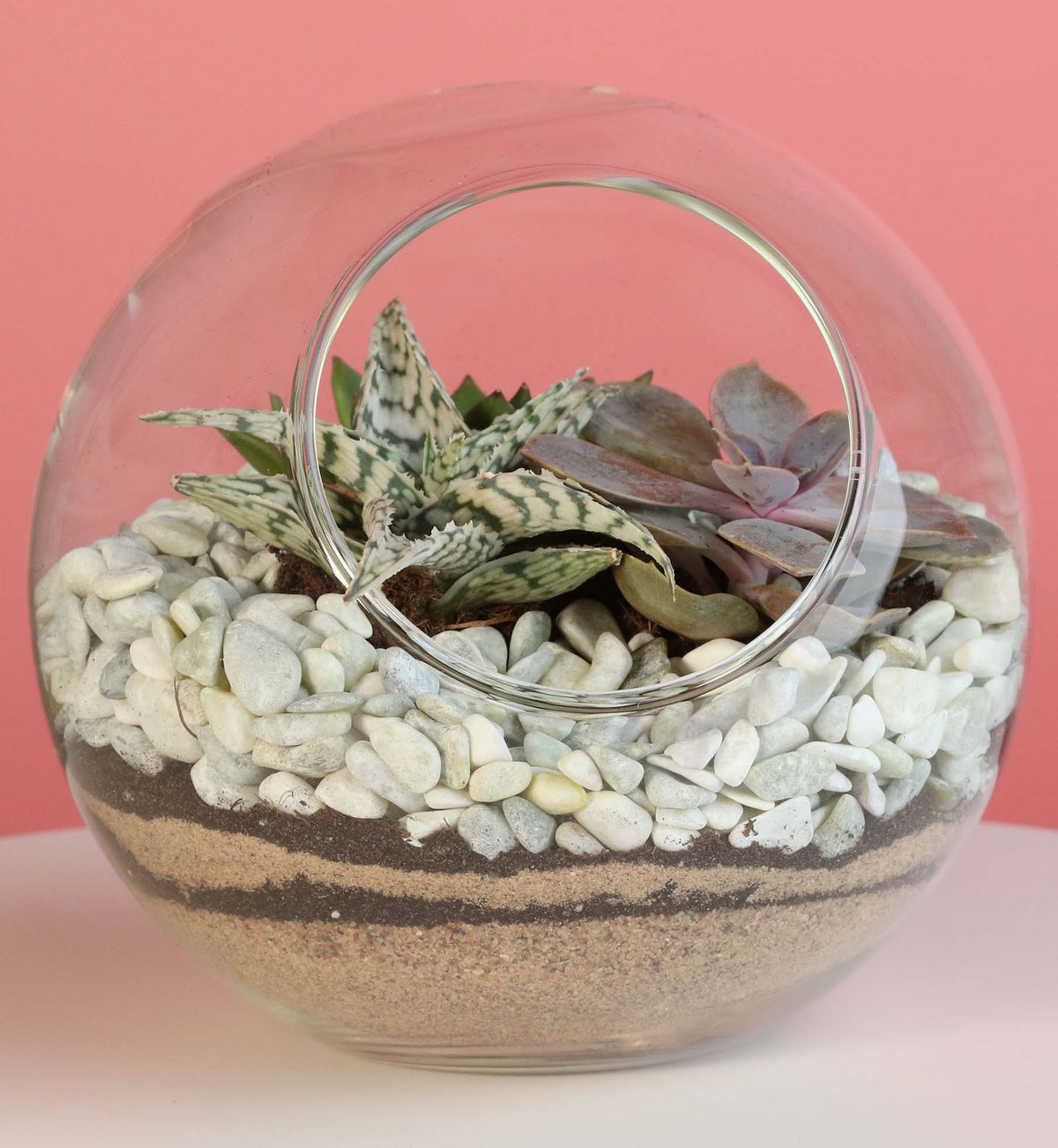 Terrarium Workshop - Thursday, TBD, 2026 at 6:00 pm