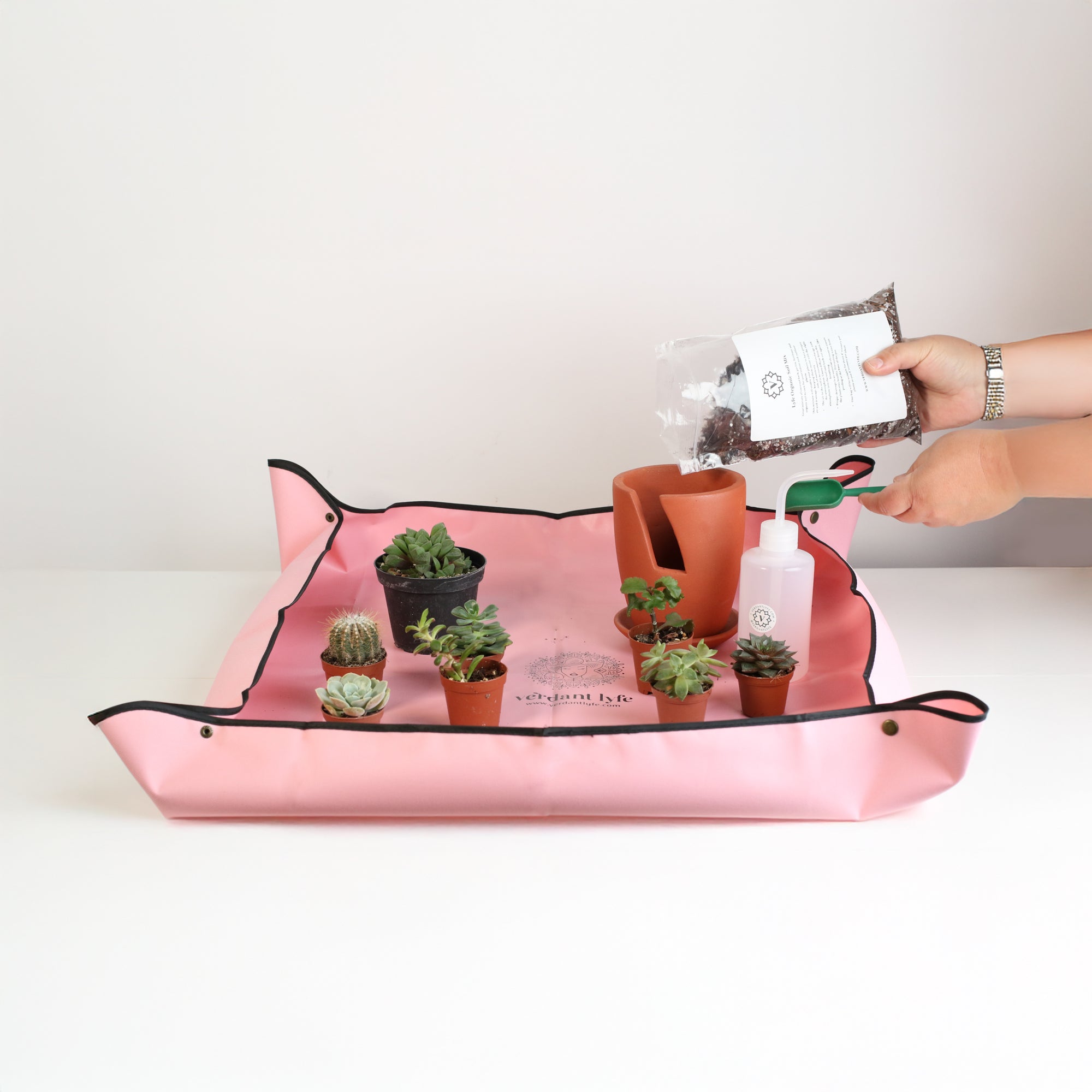 files/Succulent_Terracotta_DIY_Kit-16.jpg