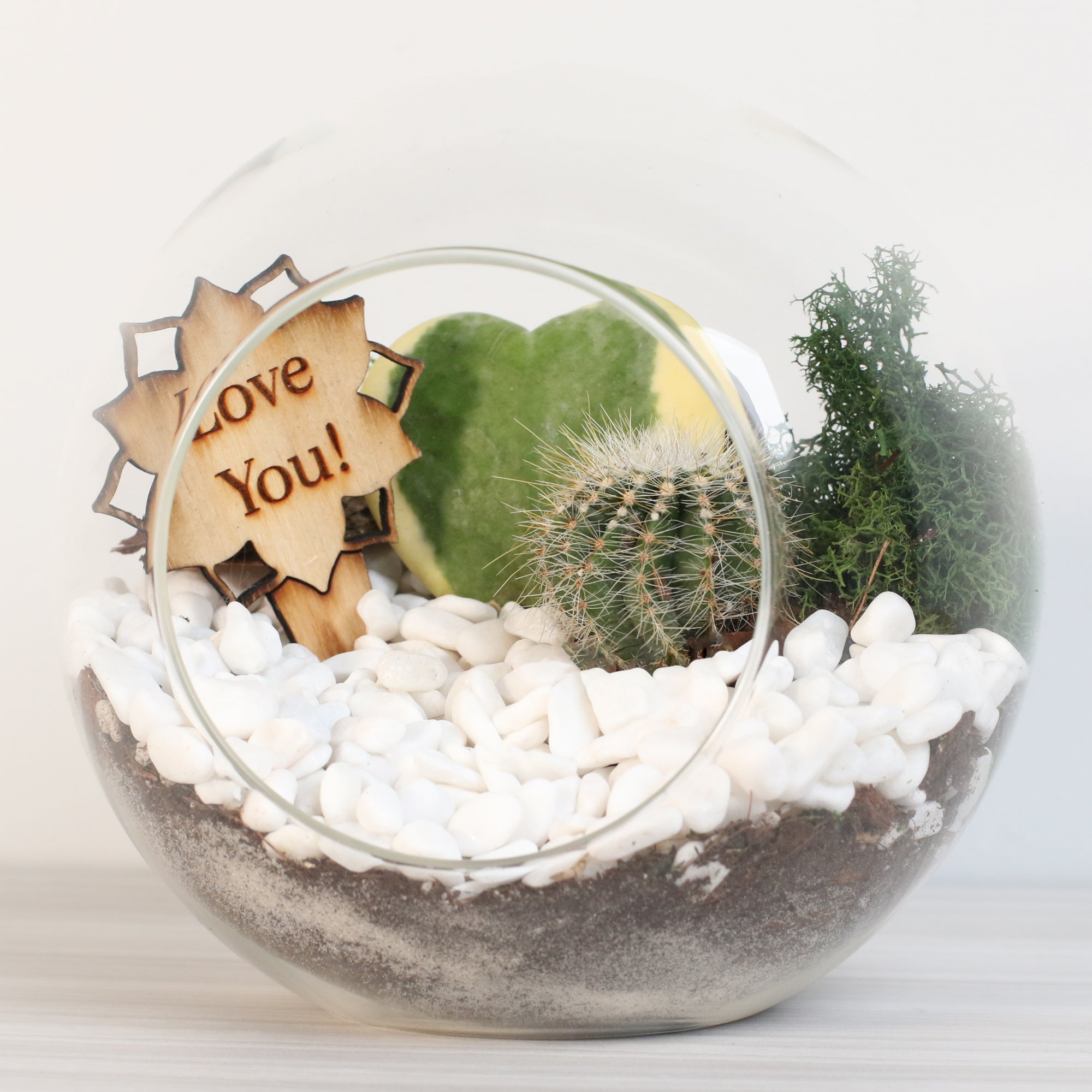 Terrarium Kit