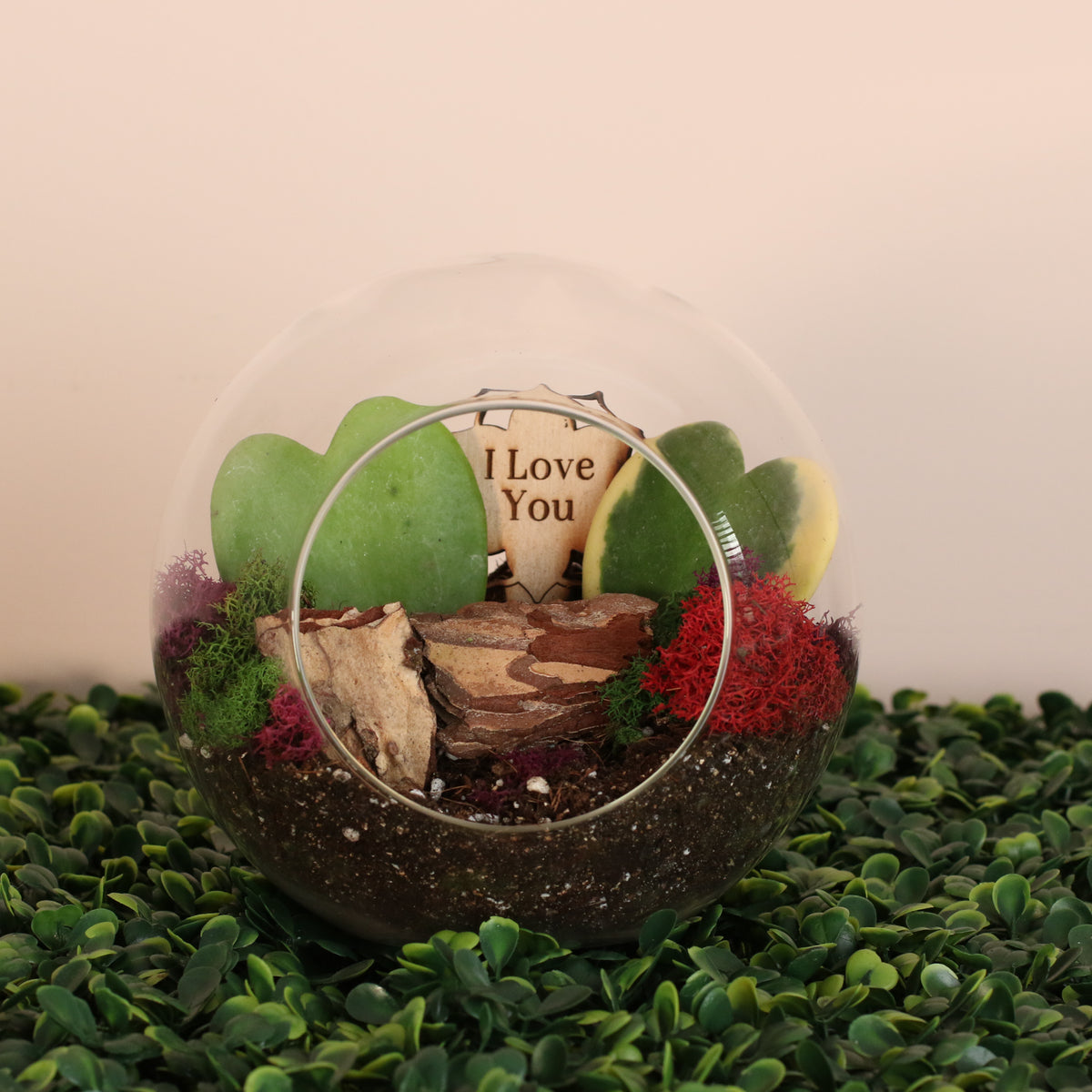 Sweetheart Terrarium Kit