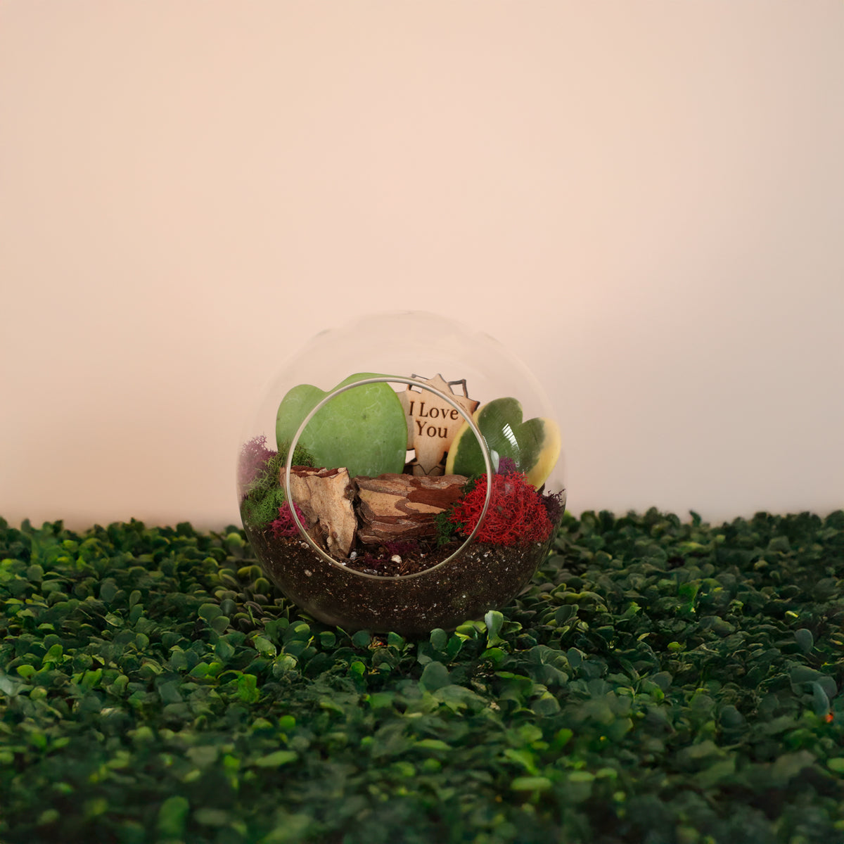 Sweetheart Terrarium Kit