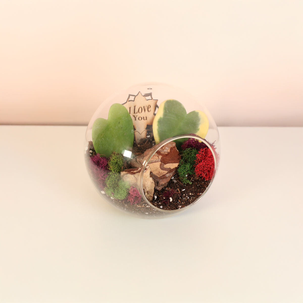 Sweetheart Terrarium Kit