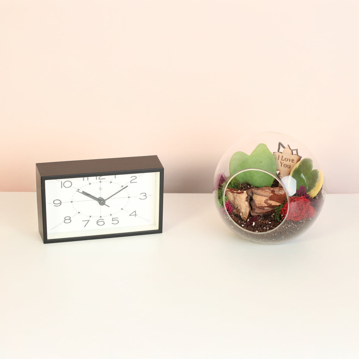 Sweetheart Terrarium Kit next to clock