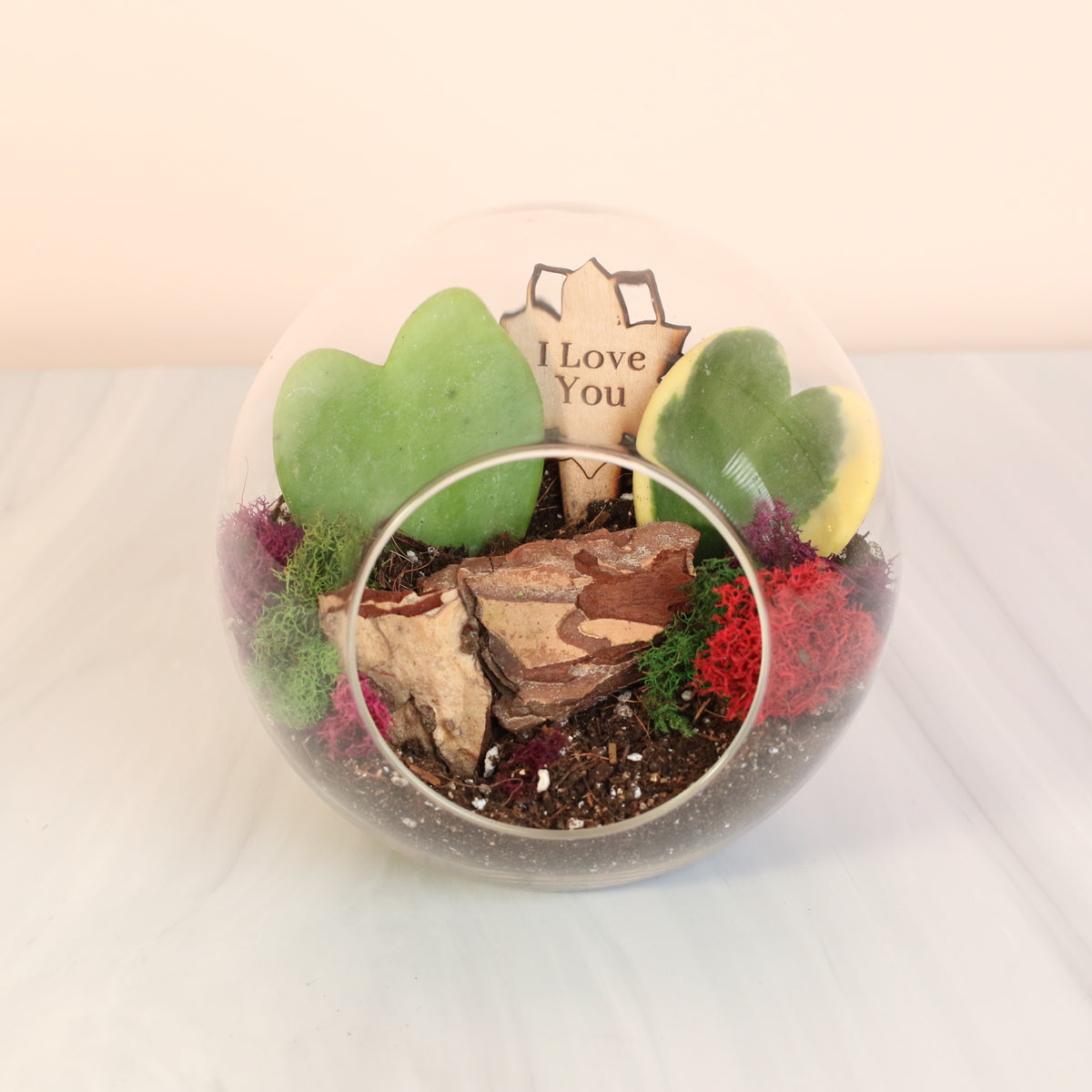 Sweetheart Terrarium Kit