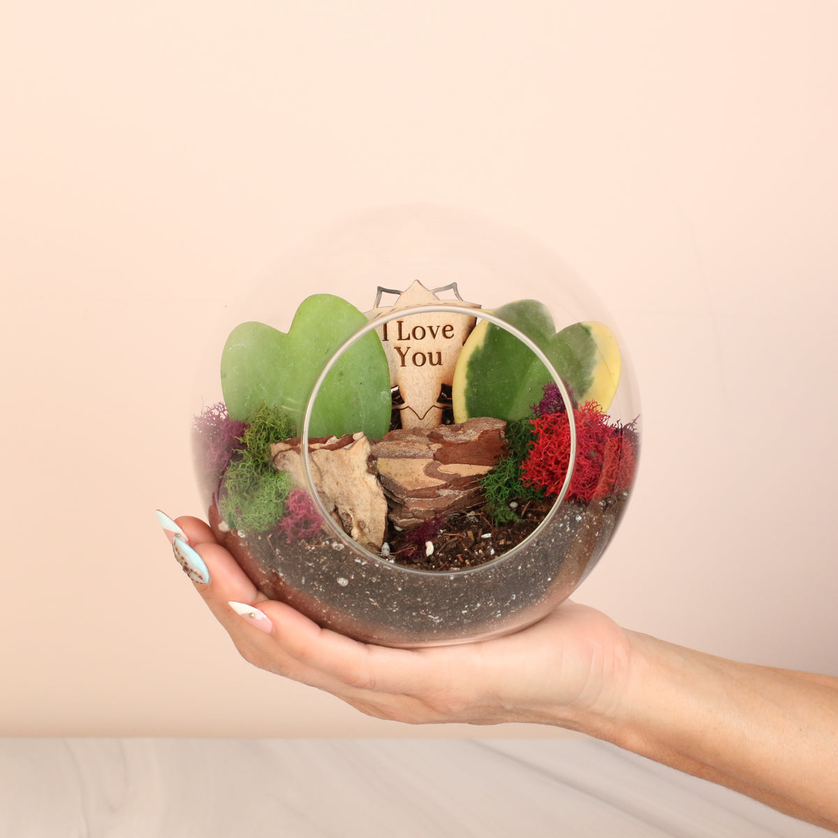 Sweetheart Terrarium Kit in hand