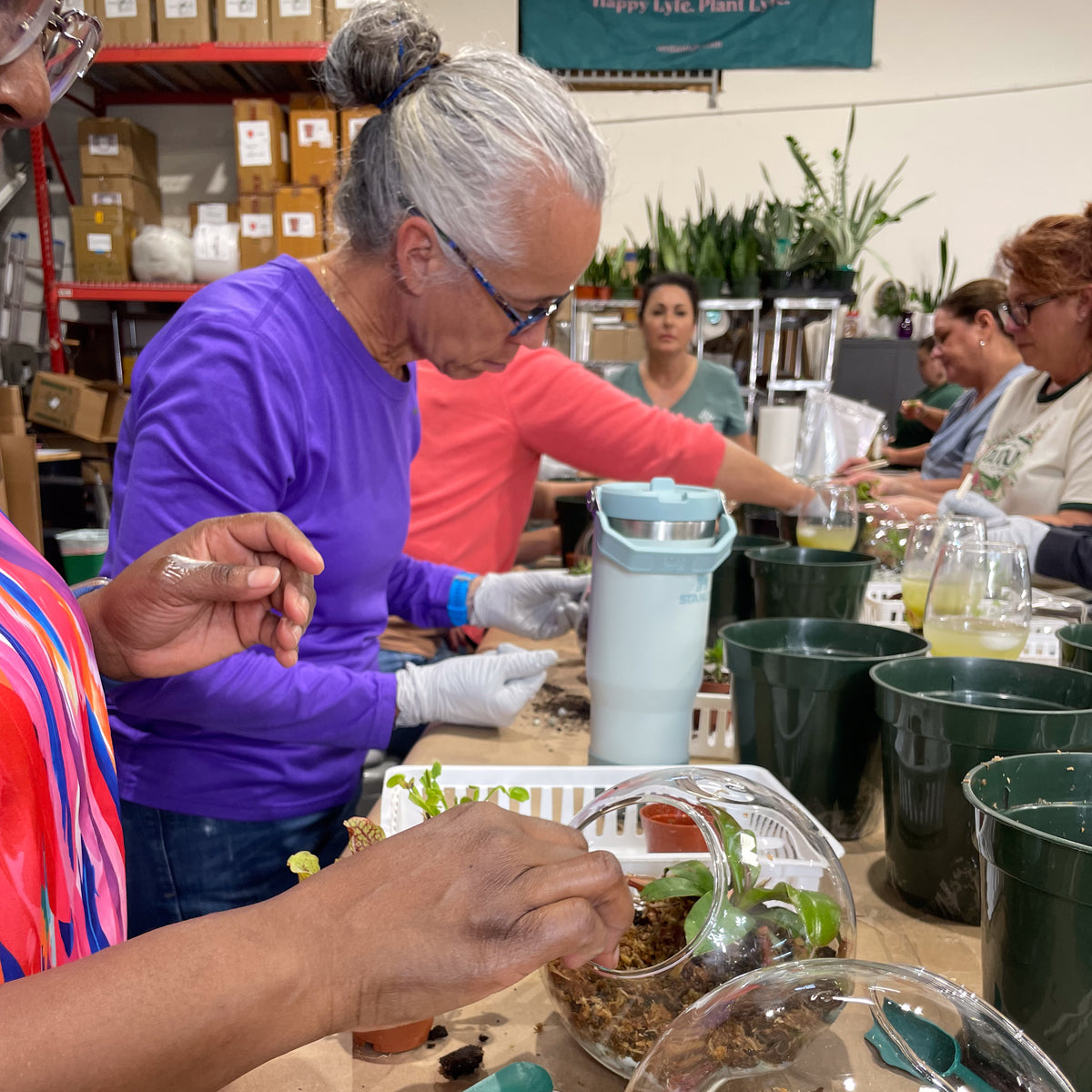Terrarium Workshop - Thursday, TBD, 2026 at 6:00 pm