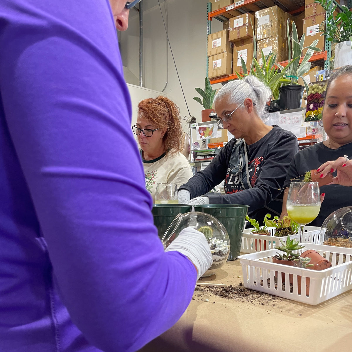 Terrarium Workshop - Thursday, TBD, 2026 at 6:00 pm
