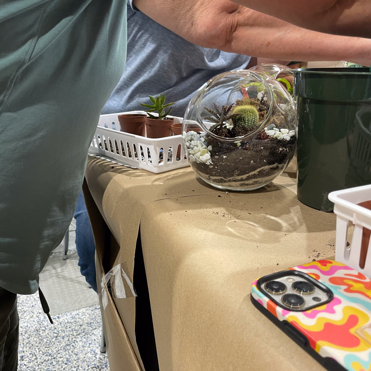 Terrarium Workshop - Thursday, TBD, 2026 at 6:00 pm