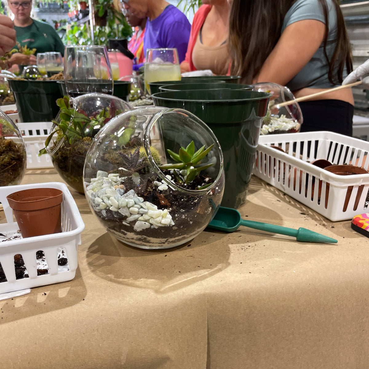 Terrarium Workshop - Thursday, TBD, 2026 at 6:00 pm