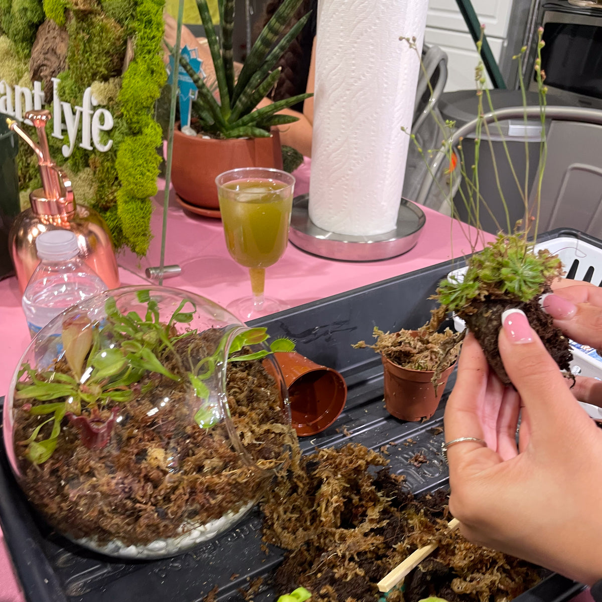 Terrarium Workshop - Thursday, TBD, 2026 at 6:00 pm