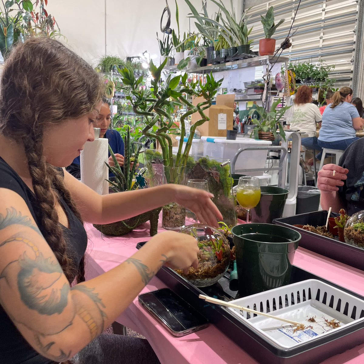 Terrarium Workshop - Thursday, TBD, 2026 at 6:00 pm