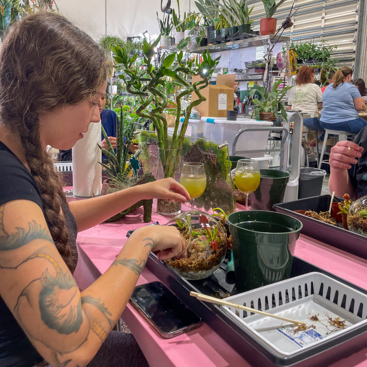 Terrarium Workshop - Thursday, TBD, 2026 at 6:00 pm