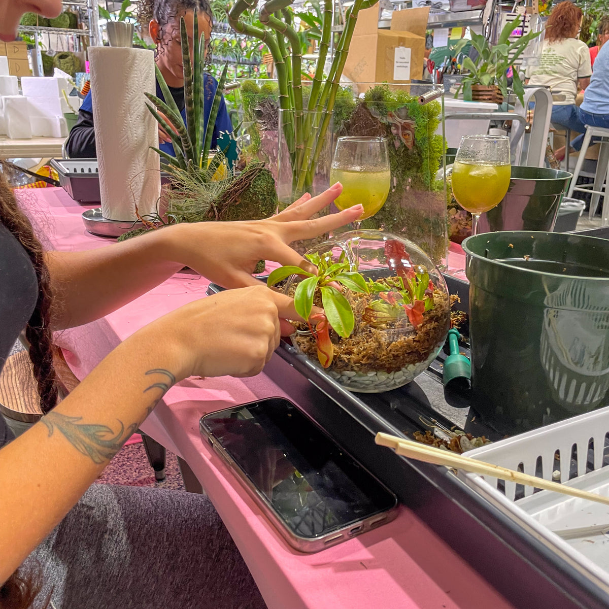 Terrarium Workshop - Thursday, TBD, 2026 at 6:00 pm