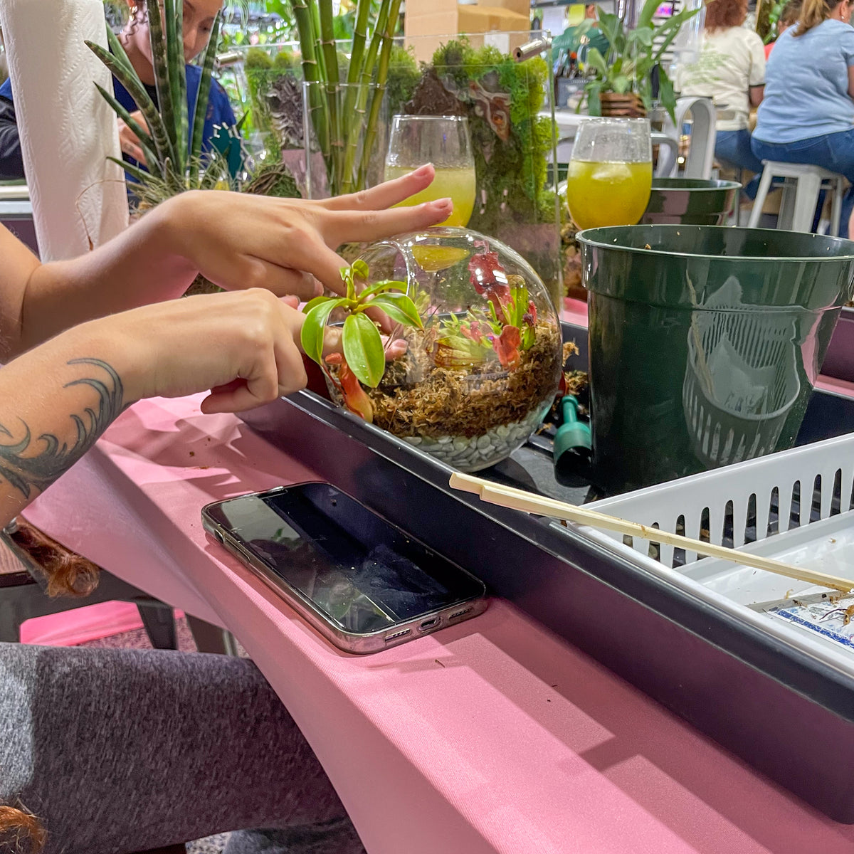 Terrarium Workshop - Thursday, TBD, 2026 at 6:00 pm