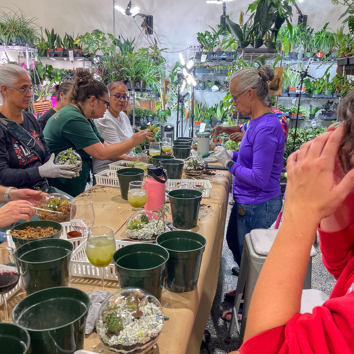 Terrarium Workshop - Thursday, TBD, 2026 at 6:00 pm
