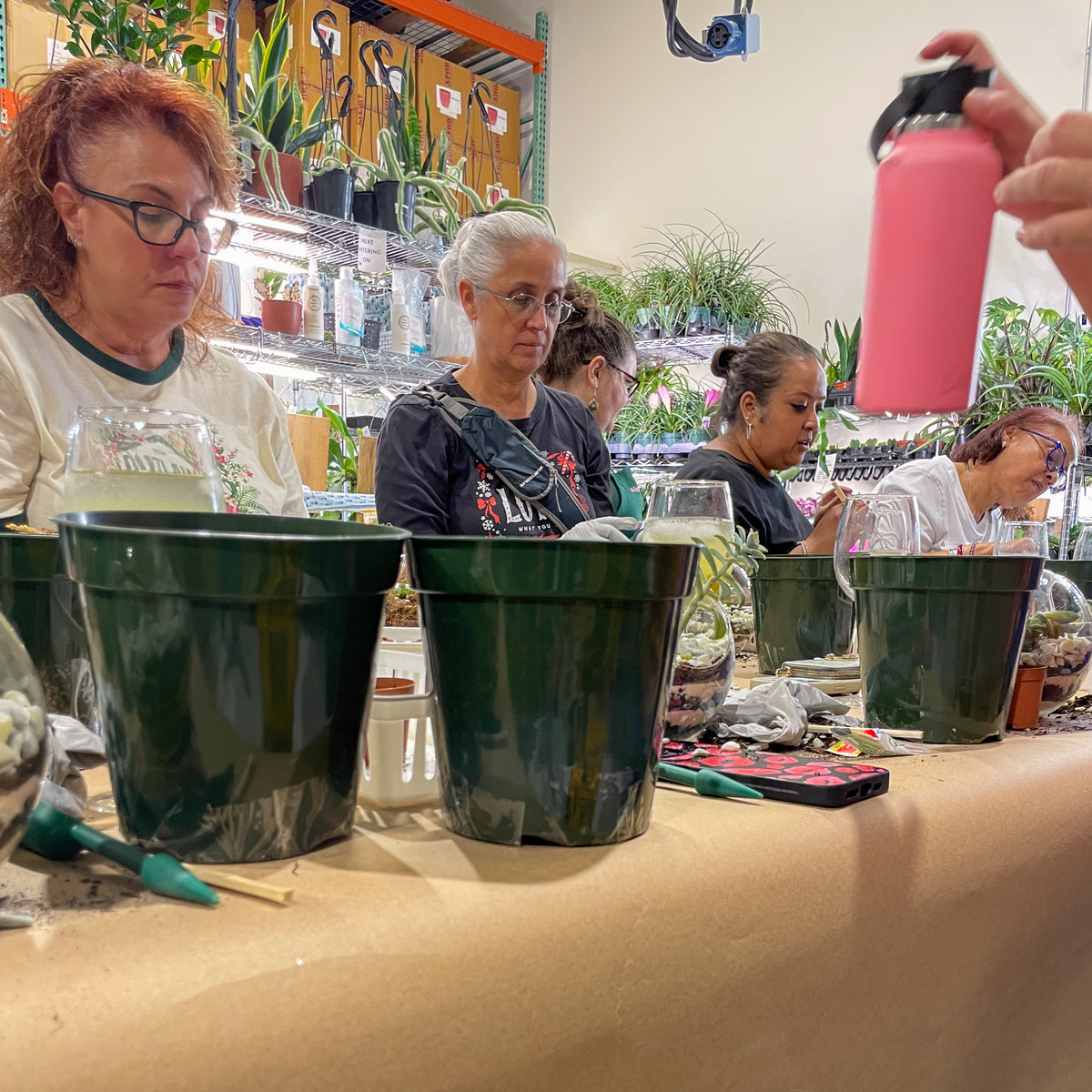 Terrarium Workshop - Thursday, TBD, 2026 at 6:00 pm