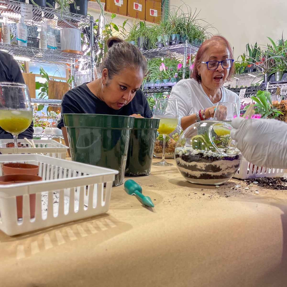 Terrarium Workshop - Thursday, TBD, 2026 at 6:00 pm