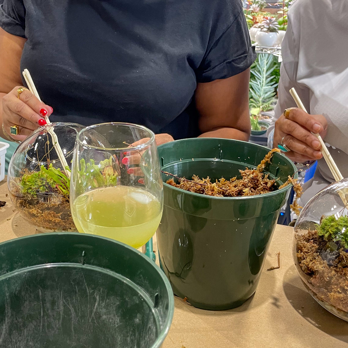 Terrarium Workshop - Thursday, TBD, 2026 at 6:00 pm
