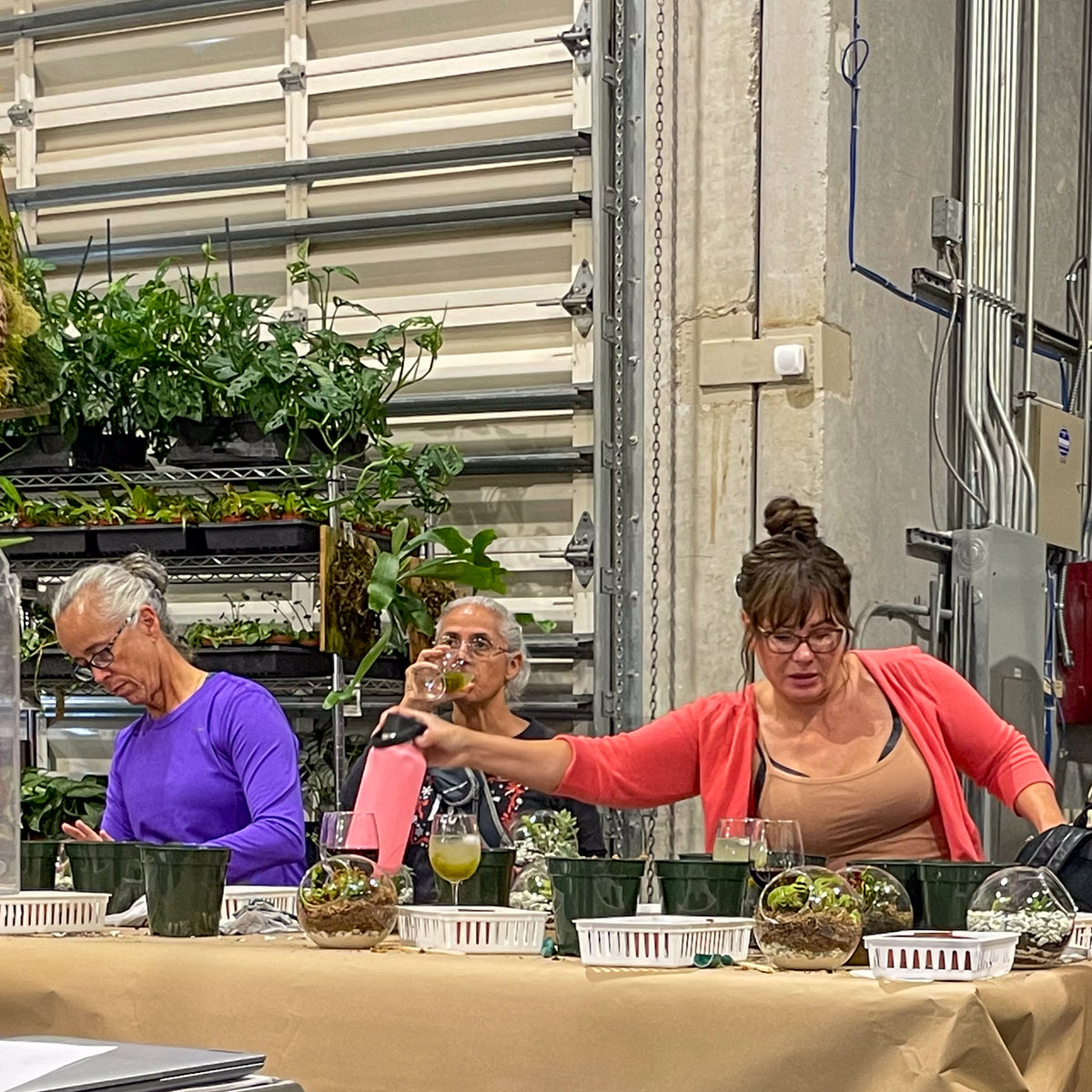 Terrarium Workshop - Thursday, TBD, 2026 at 6:00 pm