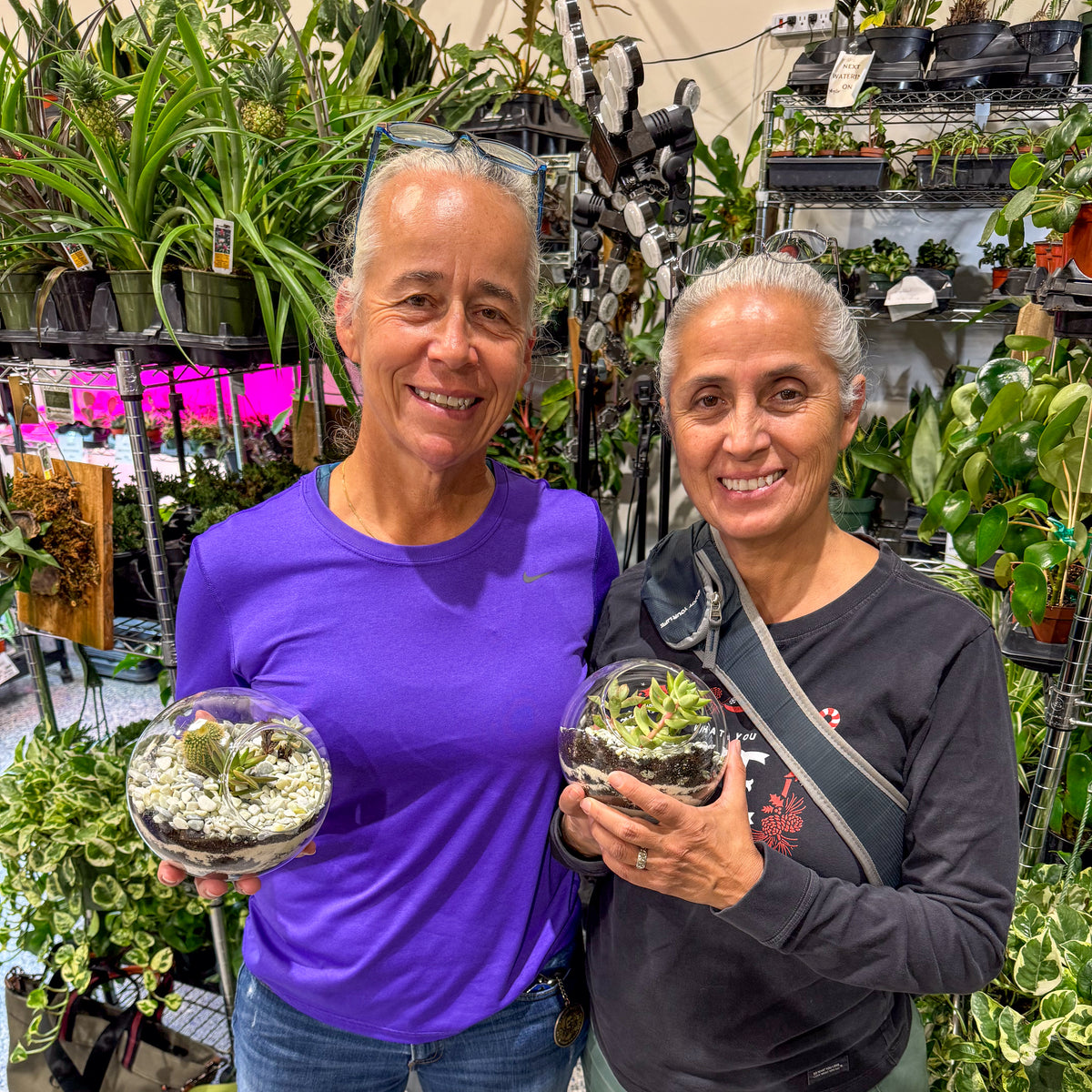 Terrarium Workshop - Thursday, TBD, 2026 at 6:00 pm