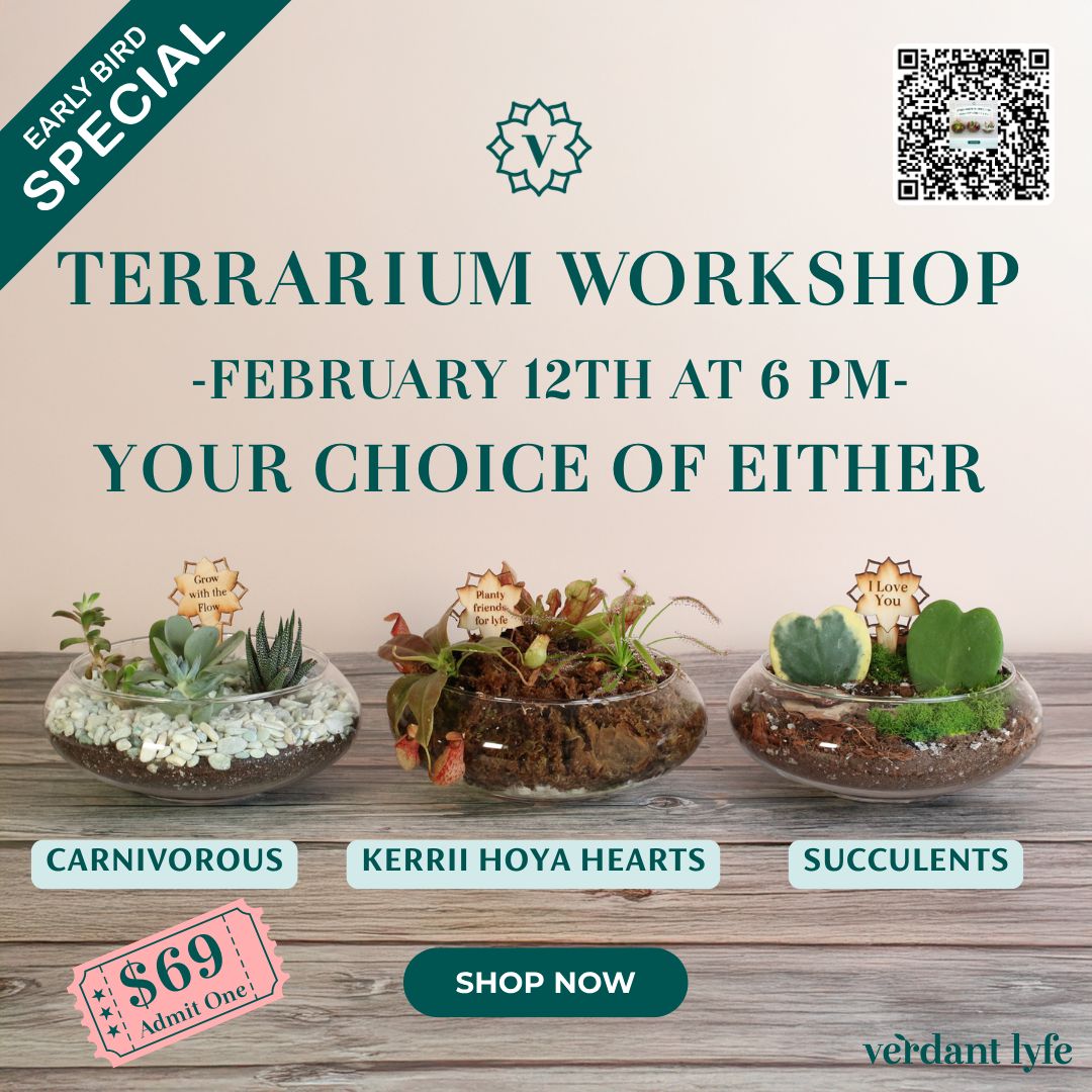 Sweetheart Terrarium Workshop - Thursday, TBD