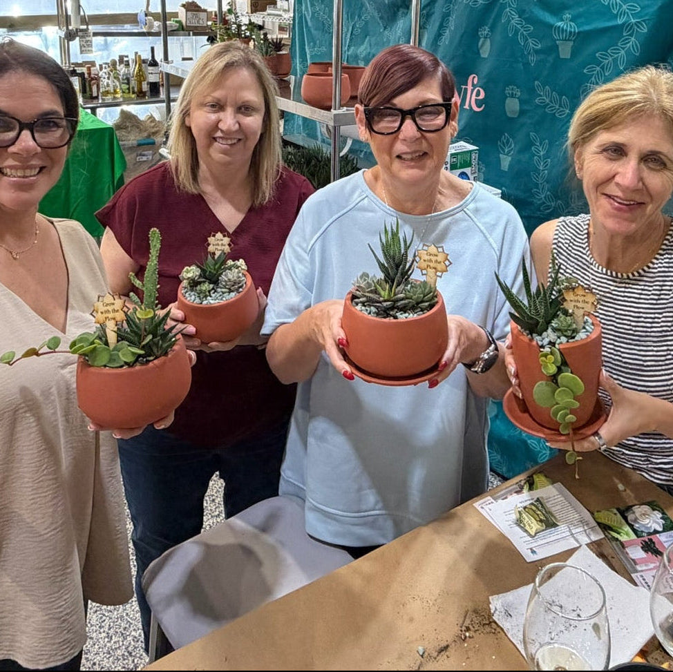 Succulent  Arrangement  Workshop- TBD