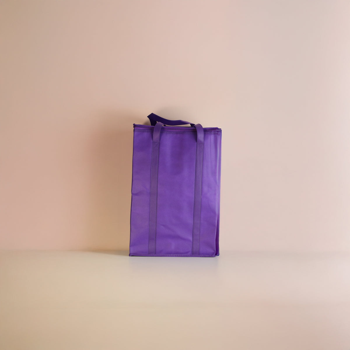 Insulated Thermal Reusable Bag - Cold Weather Shipping Plant Saver