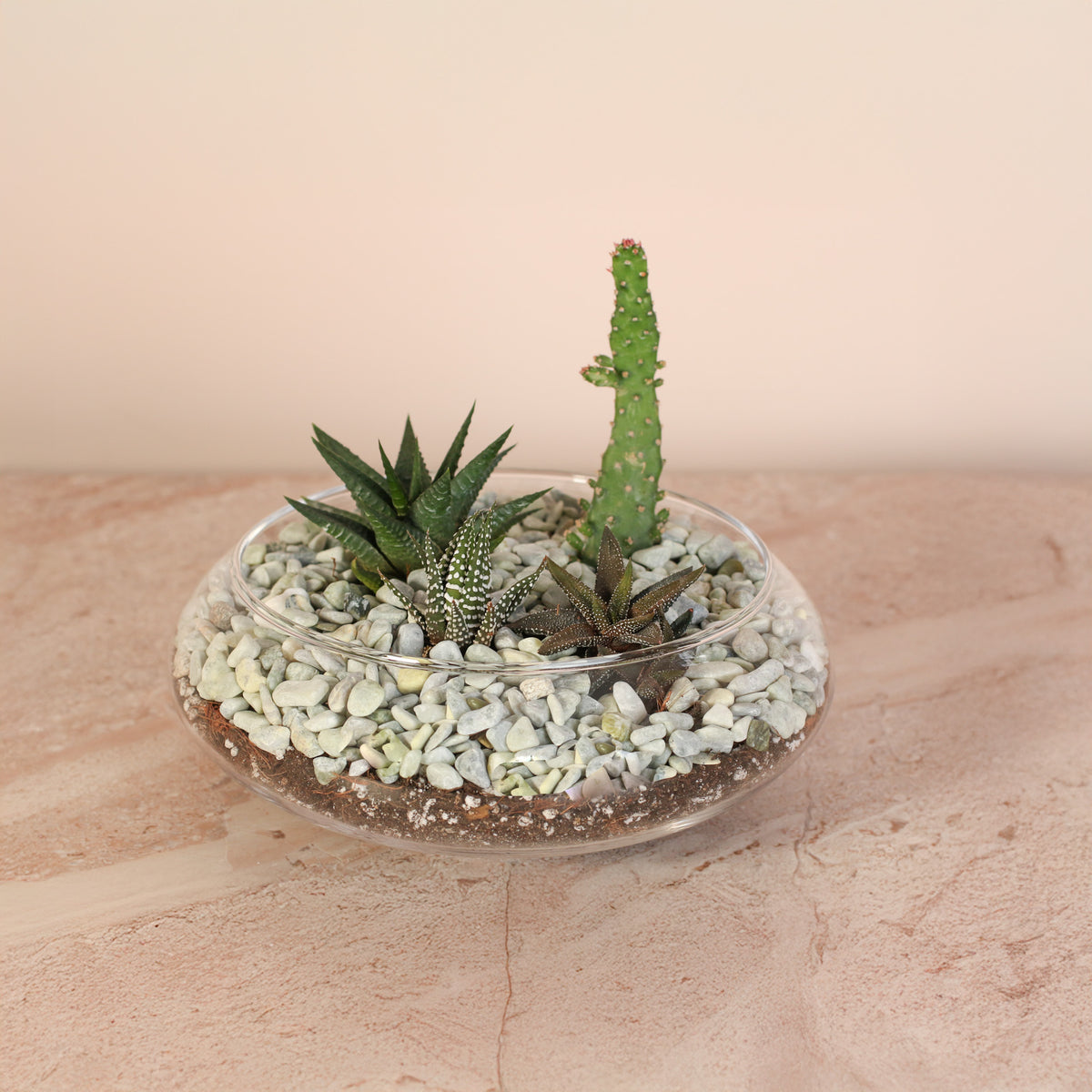 Tiny Desert Terrarium