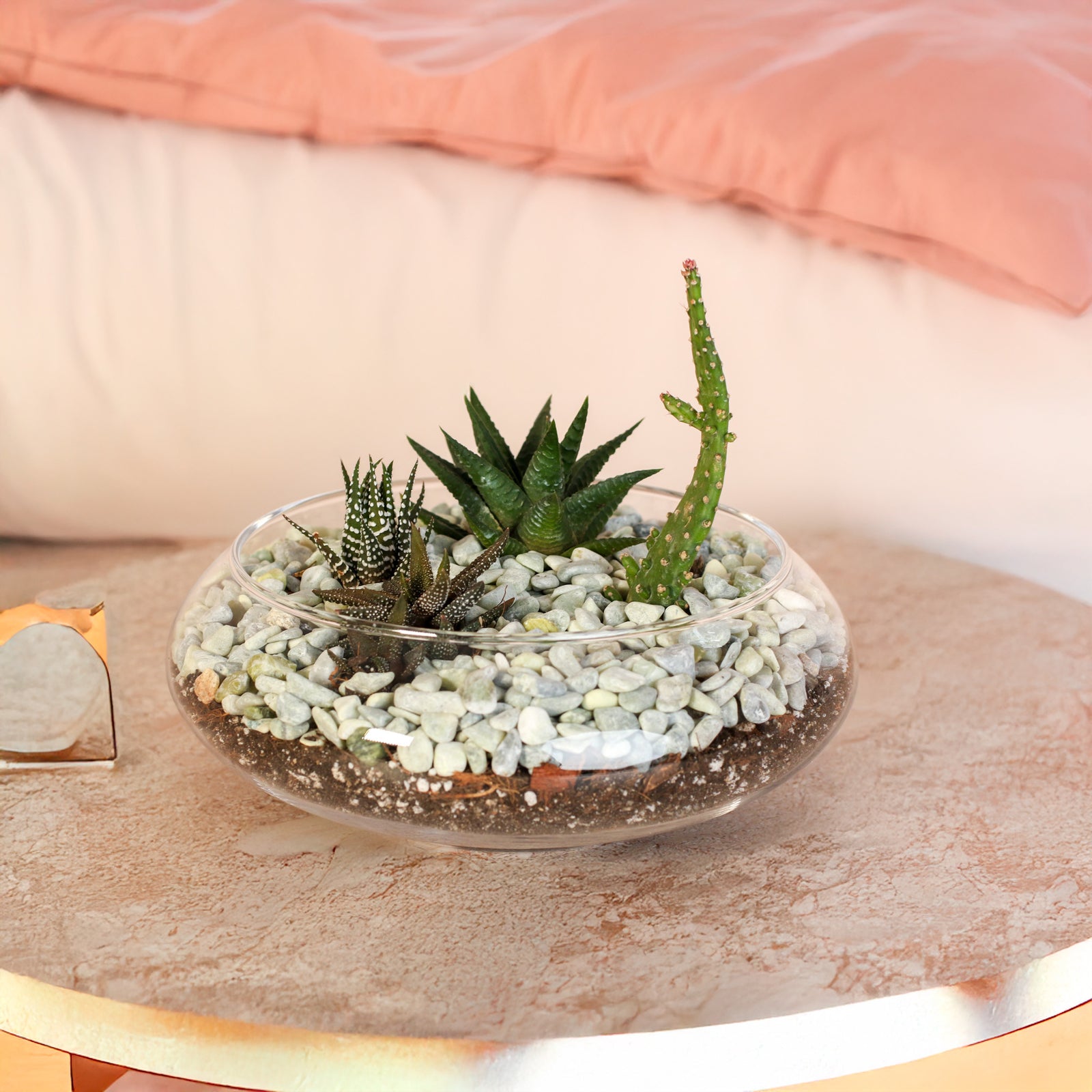 Tiny Desert Succulent Arrangement