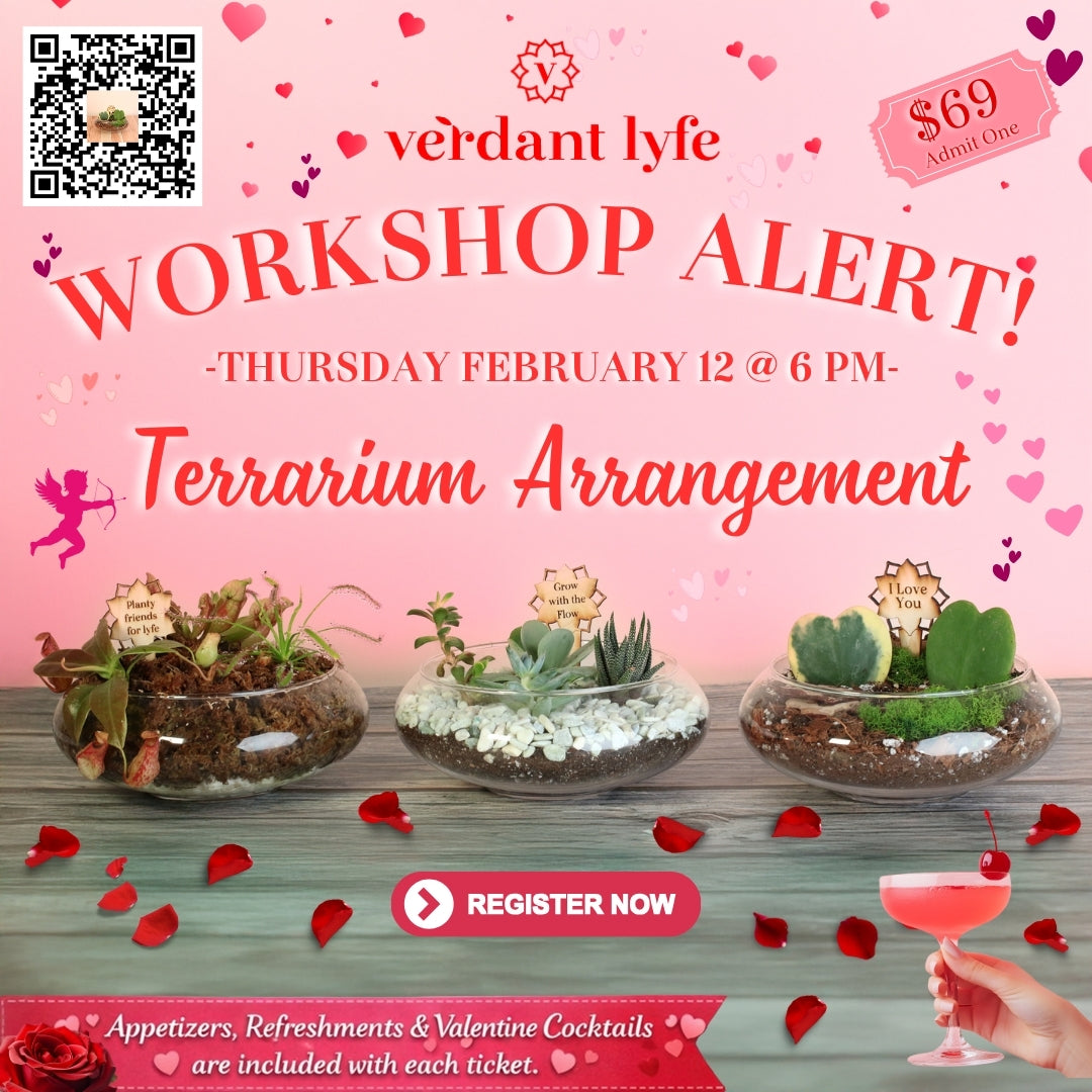 files/Valentine_sDayWorkshop.jpg