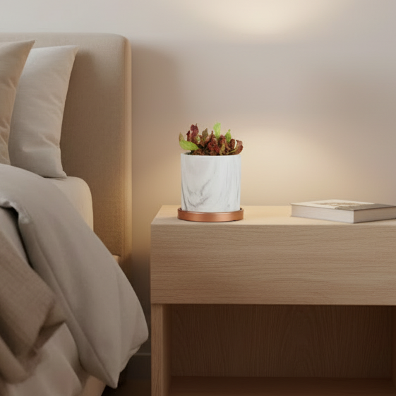 Sarracenia Purpurea 'Venosa Red' Carnivorous Plant