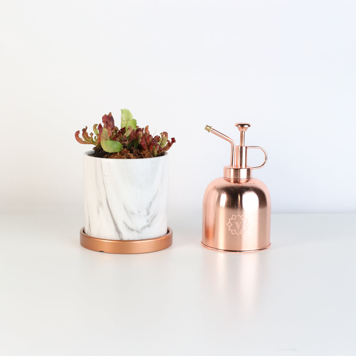 Venosa Red in 4.5&quot; Daphne Ceramic Planter