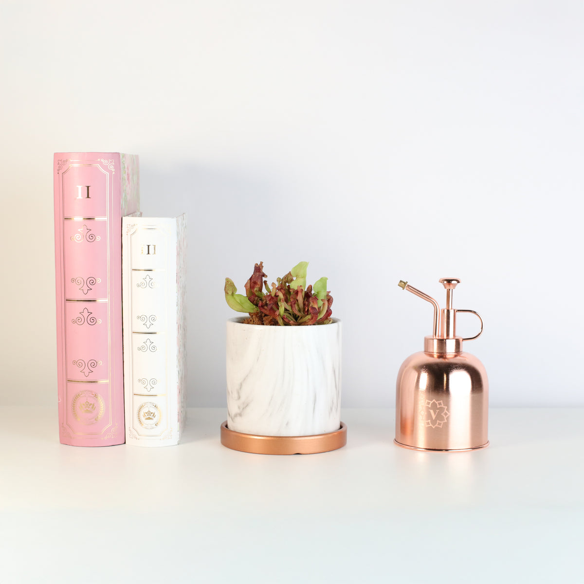 Venosa Red in 4.5&quot; Daphne Ceramic Planter
