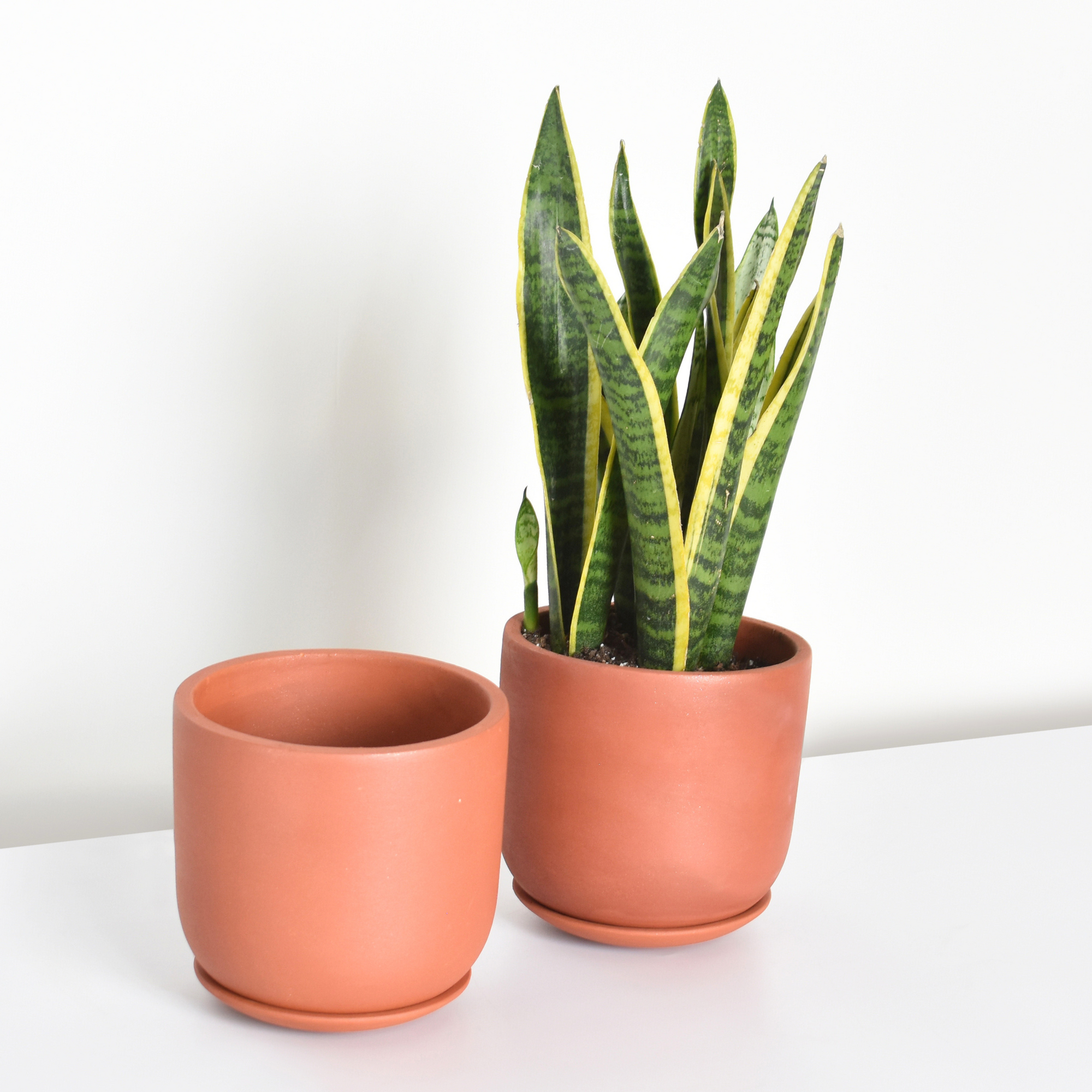 Round Terracotta Minimalist Planter