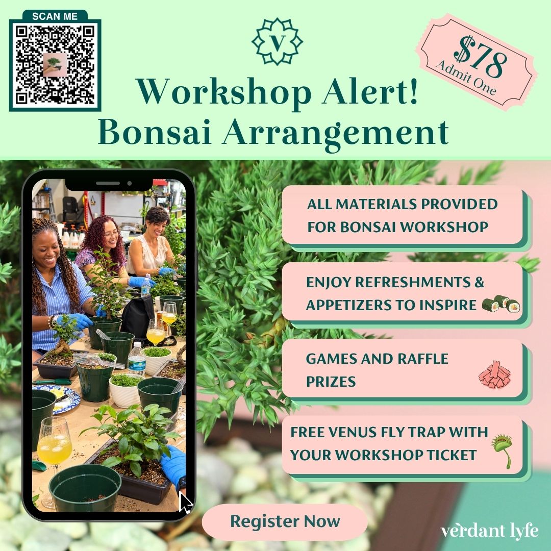 files/Workshop-Bonsai.jpg