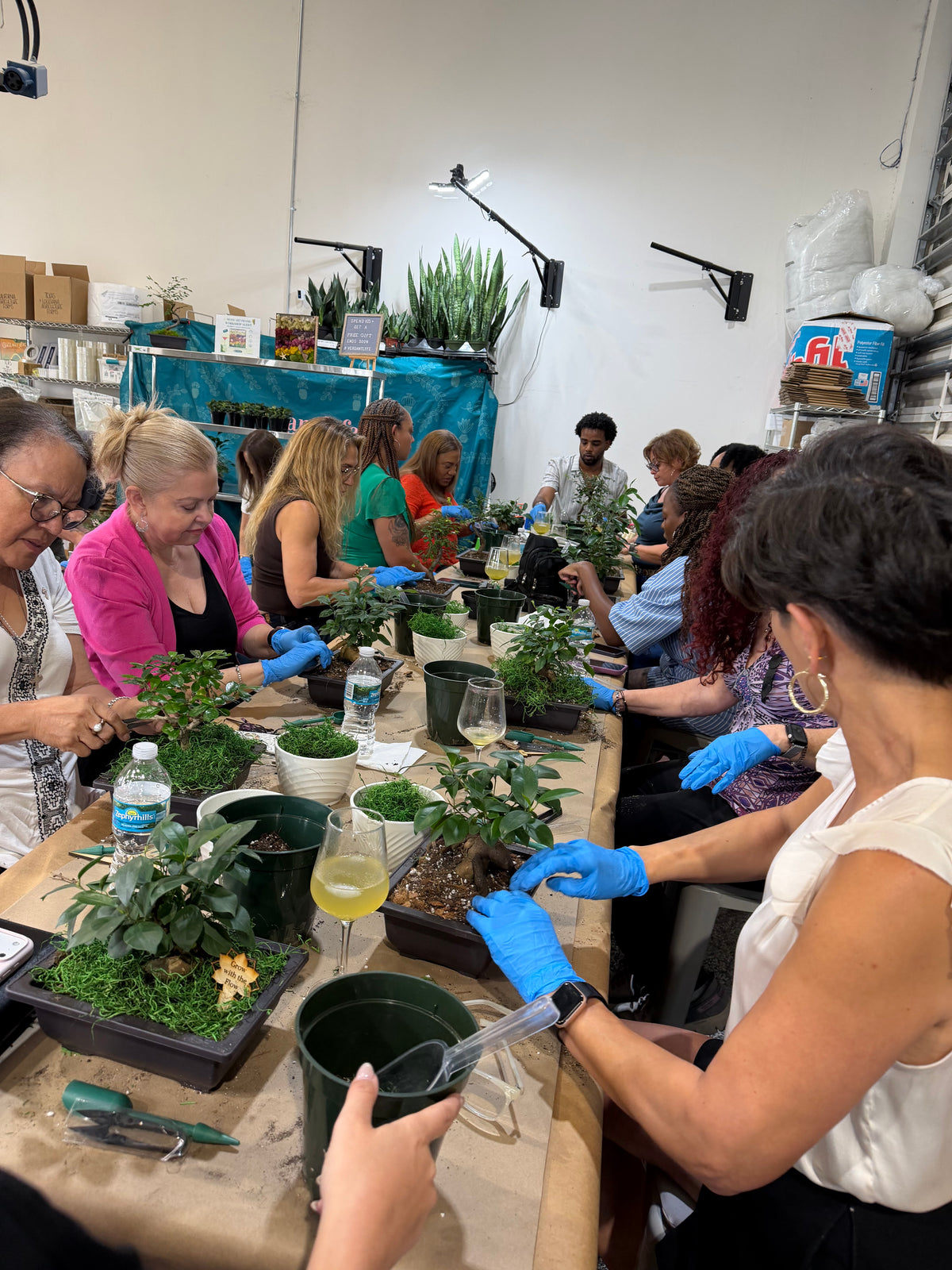 Bonsai Workshop - November 12th at 6 PM