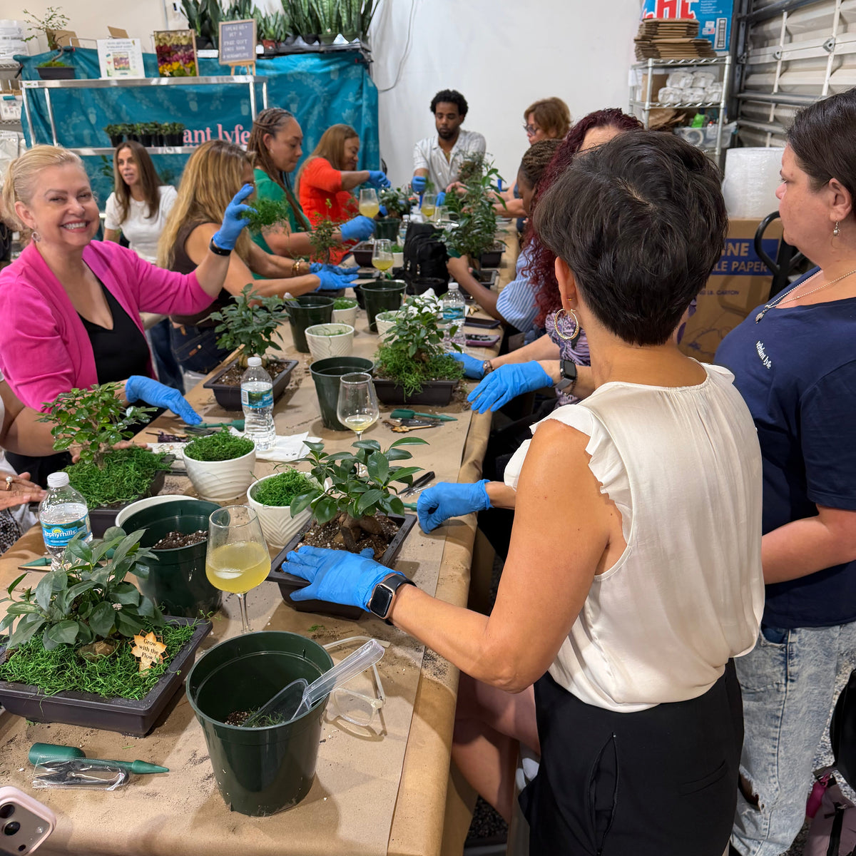 Bonsai Workshop - November 12th at 6 PM