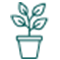 Verdant Lyfe