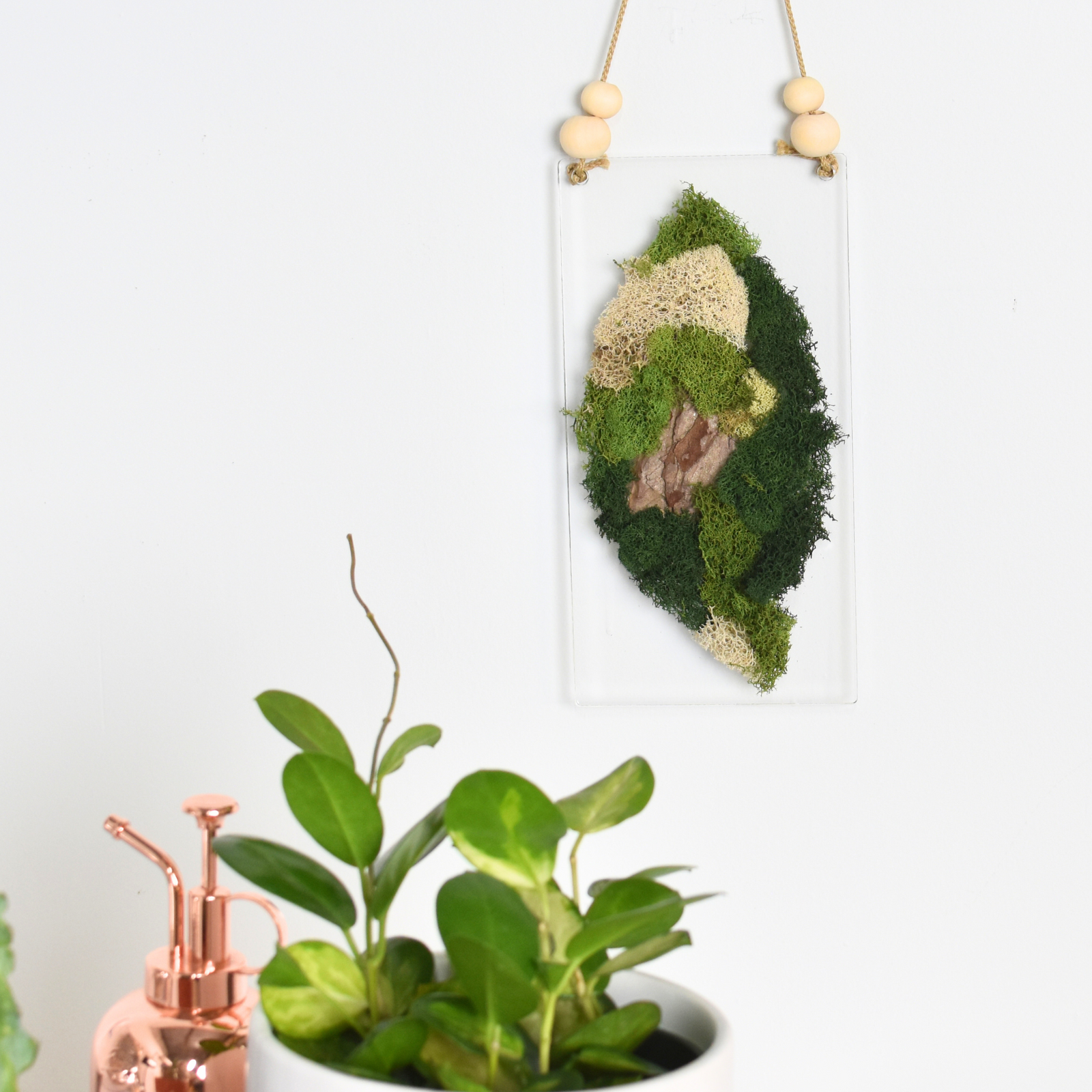 Moss Art DIY Kit Leaf Shape Hanging