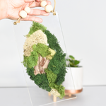 Moss Art DIY Kit Leaf Shape Hanging