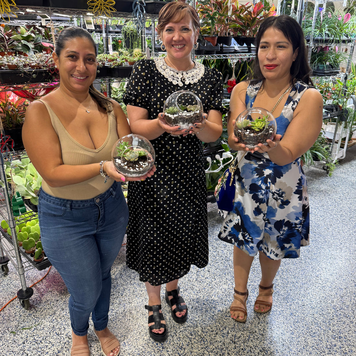 Three women holding terrariums in a greenhouse setting