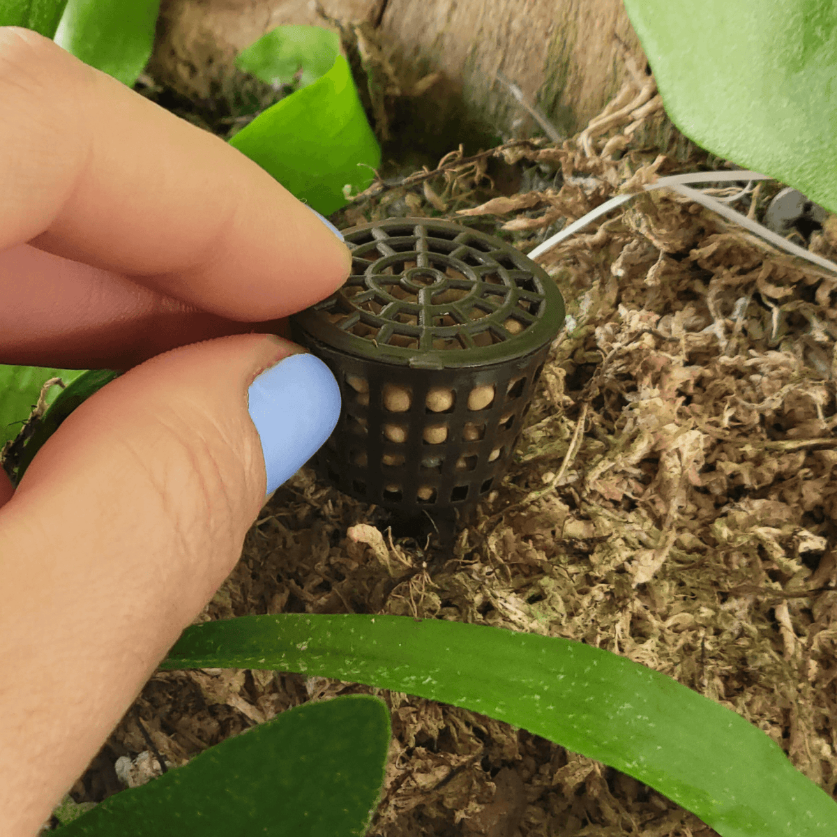 Fertilizer Basket