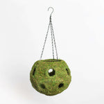 Fresh Green Moss Ball Hanging Round Basket Planter Verdant Lyfe