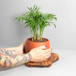 Valentina Terracotta Minimalist Planter - Empty Verdant Lyfe