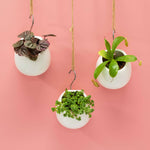 Amelia Porcelain Round Hanging Planter - Empty Verdant Lyfe